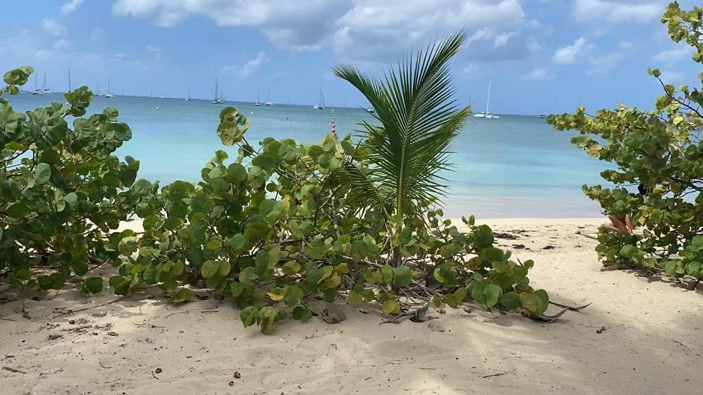Apartman Les Studios Piment Doux Sainte-Anne Martinique